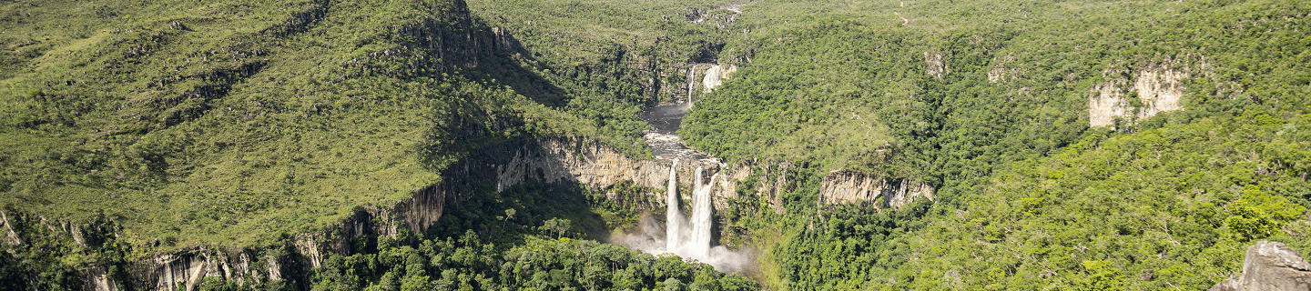 Photography Banner 1