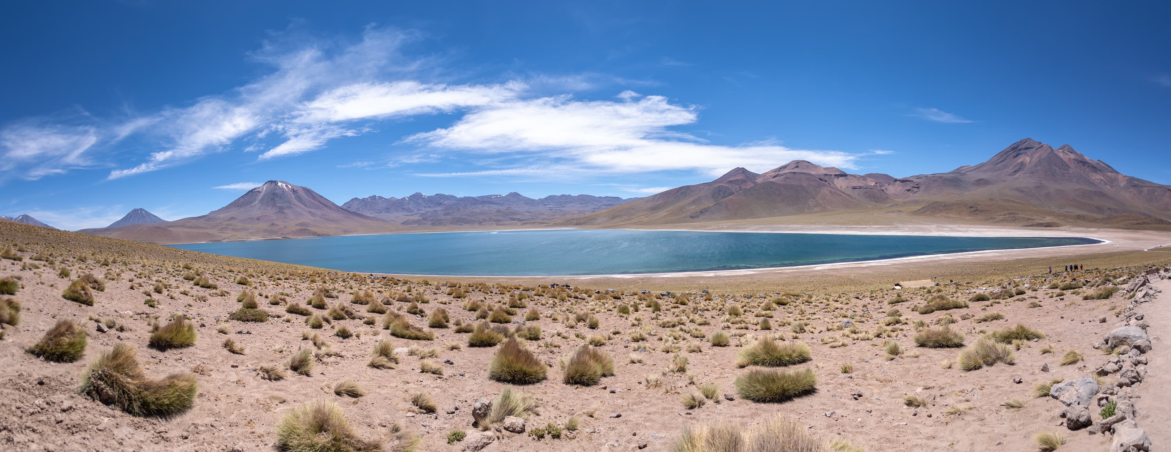 Photography Banner 3